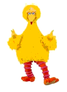 A picture named bird.png